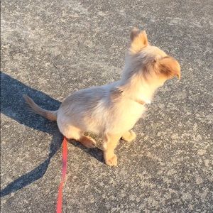 Meet your Posher, Alesa